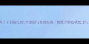 拉布拉多鼻子干裂呕吐的5大原因与急救指南兽医详解症状处理与预防措施
