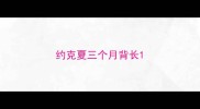 约克夏三个月背长