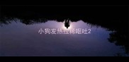 小狗发热拉稀呕吐