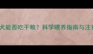 3月龄幼犬能否吃干粮科学喂养指南与注意事项全