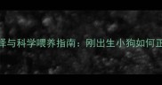 幼犬奶粉选择与科学喂养指南刚出生小狗如何正确补充营养