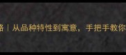 狗狗起名全攻略从品种特性到寓意手把手教你给毛孩子起名