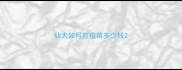 幼犬如何打疫苗多少钱