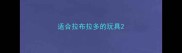 适合拉布拉多的玩具
