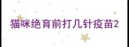 猫咪绝育前打几针疫苗