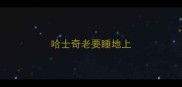 哈士奇老要睡地上