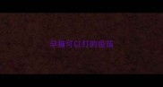 孕猫可以打的疫苗