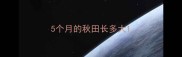 5个月的秋田长多大