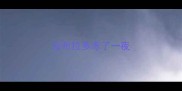 拉布拉多冻了一夜