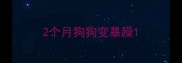 2个月狗狗变暴躁