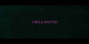 小狗怎么老吃不饱