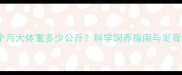 金毛九个月大体重多少公斤科学饲养指南与发育评估全