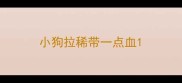 小狗拉稀带一点血