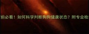 打疫苗前必看如何科学判断狗狗健康状态附专业检查清单