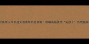 阿拉斯加犬泰迪犬混血串串全攻略聪明高颜值的毛孩子养成指南