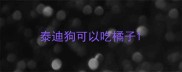 泰迪狗可以吃橘子