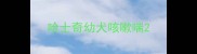 哈士奇幼犬咳嗽喘