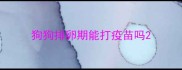 狗狗排卵期能打疫苗吗