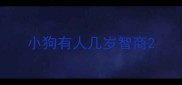 小狗有人几岁智商