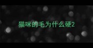 猫咪的毛为什么硬