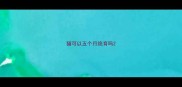 猫可以五个月绝育吗