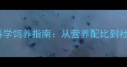 两个月大金毛幼犬的科学饲养指南从营养配比到社会化训练的完整方案