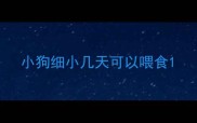 小狗细小几天可以喂食