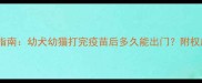 宠物疫苗接种全流程指南幼犬幼猫打完疫苗后多久能出门附权威时间表与注意事项