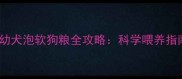 三个月金毛幼犬泡软狗粮全攻略科学喂养指南避坑指南
