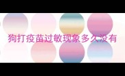 狗打疫苗过敏现象多久没有