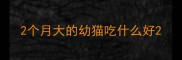 2个月大的幼猫吃什么好