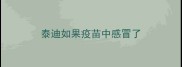 泰迪如果疫苗中感冒了