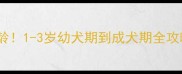 泰迪犬最佳饲养年龄1-3岁幼犬期到成犬期全攻略附成长对比图