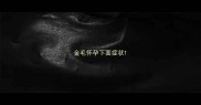 金毛怀孕下面症状