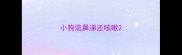 小狗流鼻涕还咳嗽