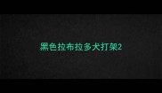黑色拉布拉多犬打架
