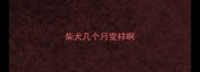 柴犬几个月变样啊