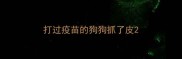 打过疫苗的狗狗抓了皮