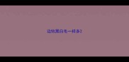 边牧黑白毛一样多
