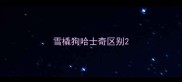 雪橇狗哈士奇区别