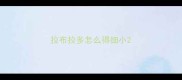 拉布拉多怎么得细小