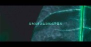 拉布拉多怎么训练成导盲犬
