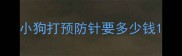 小狗打预防针要多少钱