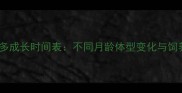 拉布拉多成长时间表不同月龄体型变化与饲养指南