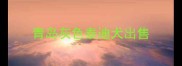 青岛灰色泰迪犬出售
