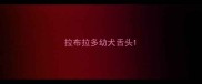 拉布拉多幼犬舌头