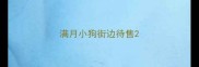 满月小狗街边待售