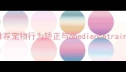 上海宠物训练学校推荐宠物行为矫正与obediencetraining机构排名及课程