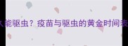 狗狗打疫苗后多久能驱虫疫苗与驱虫的黄金时间表及科学护理指南