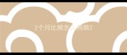 2个月比熊怎么照顾